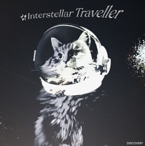 "Interstellar Traveller" by Discovery